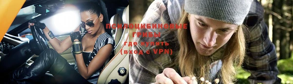 дживик Кинешма