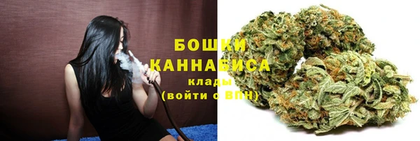 дживик Кинешма