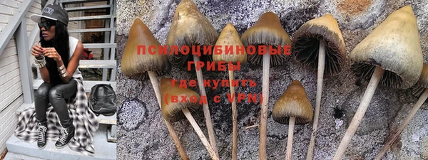 дживик Киренск