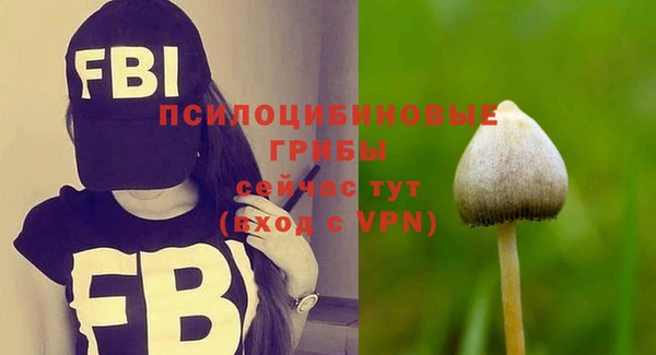 дживик Киренск