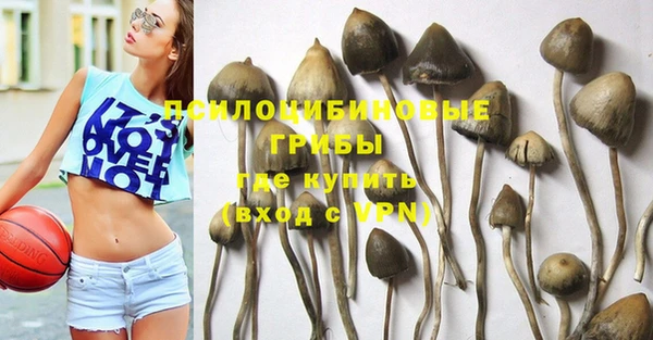 дживик Кинешма
