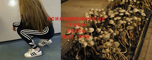 дживик Киренск