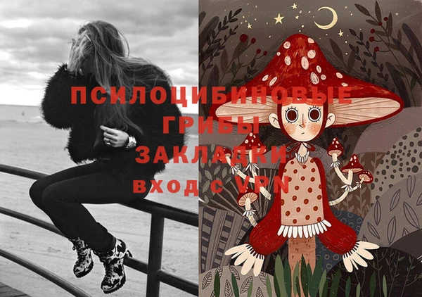дживик Киренск