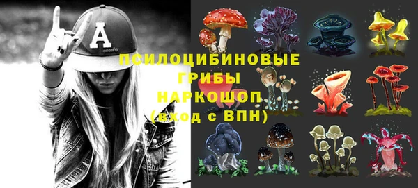 дживик Кинешма