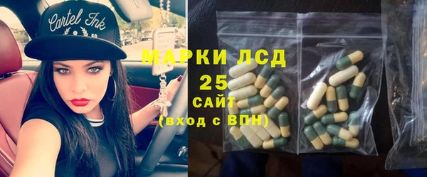 дживик Кинешма