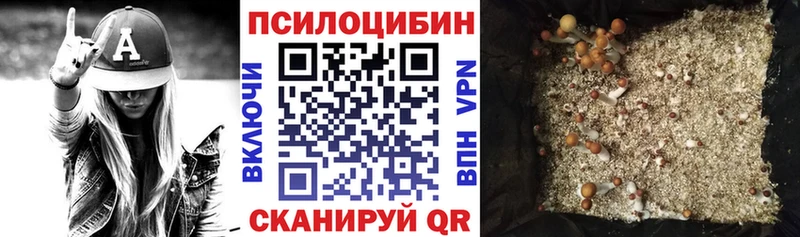 Галлюциногенные грибы GOLDEN TEACHER  Купить где  Кольчугино 